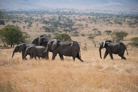 Private Tansania Safari & Aktivkultur Tour