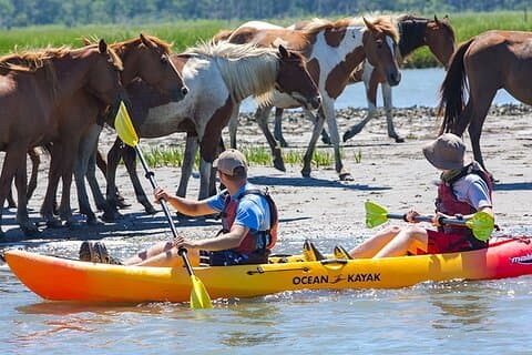 Kajakktur langs Assateague og Chincoteague Island, Virginia