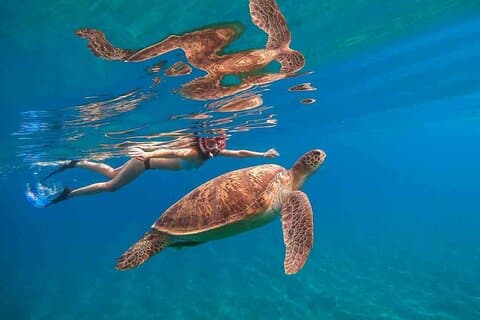 Waikiki Snorkeling Adventure