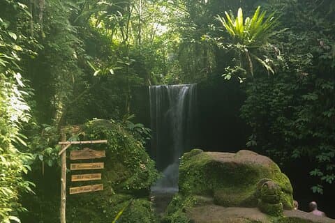 incredibile tour delle cascate con mezza giornata