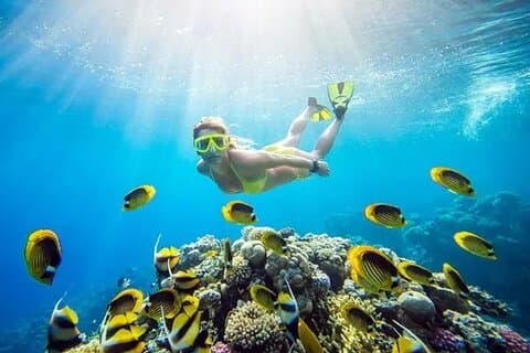Canyon and Blue Hole Snorkeling Trip with Lunch from Dahab