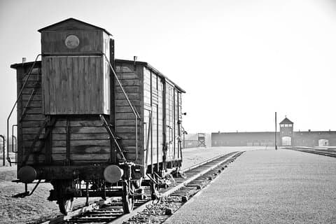 Ab Warschau: Auschwitz-Birkenau-Tour mit Premium-Zugtransport