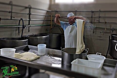 Mozzarella Experience - Cheese Tour and tastings to Masseria Fragnite