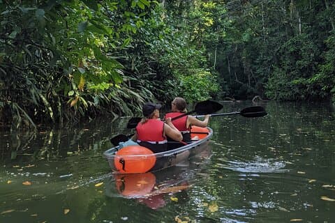 Clear Kayak Tour at Punta Uva
