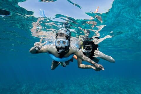 Maui : Crociera con snorkeling sulla barriera corallina con tartarughe verdi hawaiane