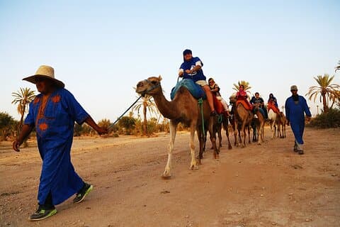 Kameelrit + zonsondergang + BBQ-diner in Agadir