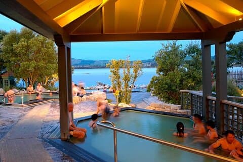 Private Tauranga Day Trip-Rotorua Spa Pools & Te Puia Geysers.