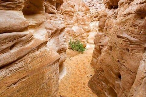 Colored Canyon and White Canyon Tour from Taba