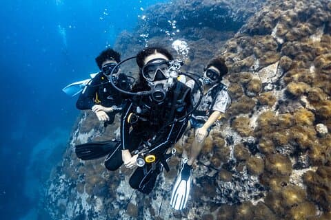 Advanced Adventurer - 2 days ( Advanced Open Water)