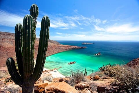 Espiritu Santo Island mit Schnorcheln und Mittagessen! Rundreise