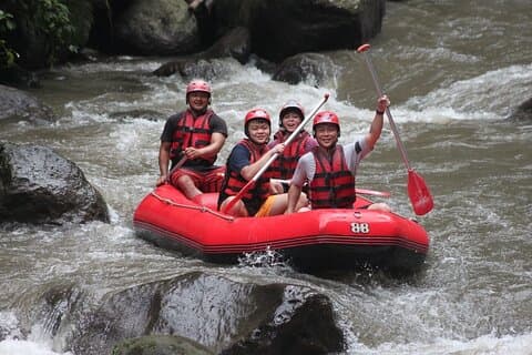 Ayung Rafting (inclusief retourhotelvervoer)