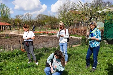 Wild Herb Picking Tour in nature reserve de Rhoonse Grienden