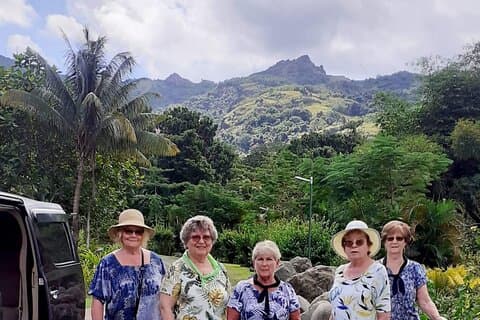 Halvdags privata mudpools, Veseisei Fijian Village, Sleeping Giants Garden & Shopping