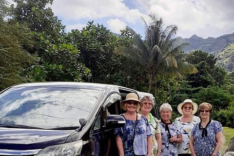 Private vehicle transfer Nadi Airport to Fiji Marriot, Momi Bay