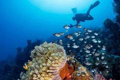 Dahab Safari & Blue Hole Snorkeling dagstur fra Sharm elsheikh