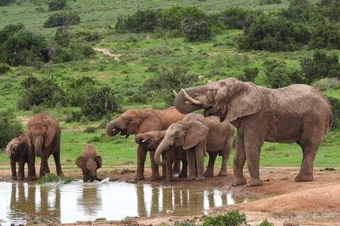 5-tägige Tour zum Ostkap in Südafrika