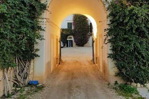 Degustação de vinhos Vineyard e almoço leve e traslado incluídos