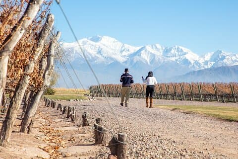 Lujan Deluxe - Full day - Premium Wine Tour with Gourmet Lunch