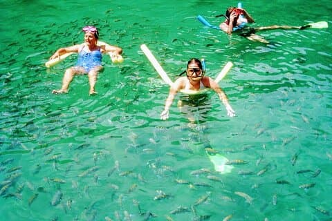 Ilha Grande: 6-Hour Speedboat Tour to Blue and Green Lagoons