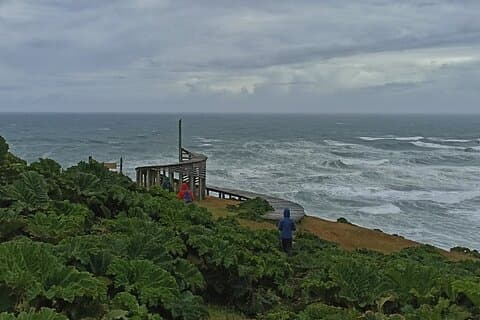 Private Activity Hiking, Time Wharf - Tricolor.