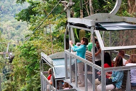 Experiencia en la selva tropical de Veragua y paseo en tranvía en Puerto Limón