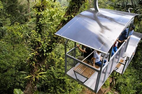 Paseo por la selva tropical de Veragua, tranvía y paseo en barco por Tortuguero. Excursión a la costa de Limón