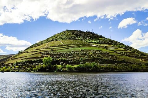 Douro | Racines et histoire - Visite avec un local