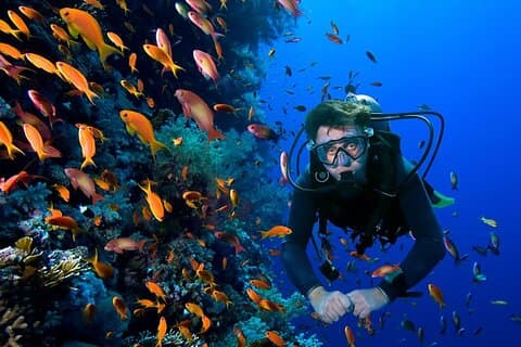 Plongée à 2 bouteilles à Cozumel
