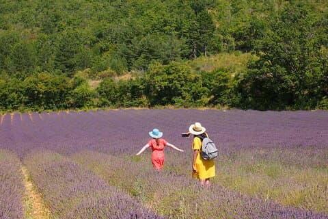 Excursión de un día completo en Sault desde AIX-EN-PROVENCE