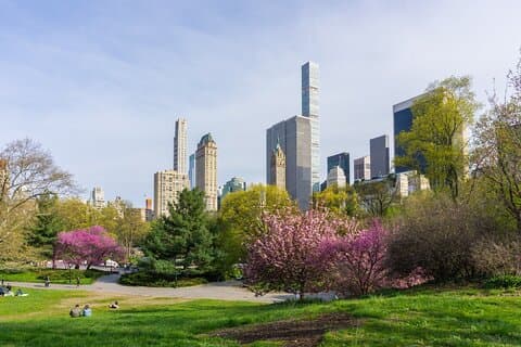3-stündige private geführte NYC Central Park Tour mit Karussellfahrt