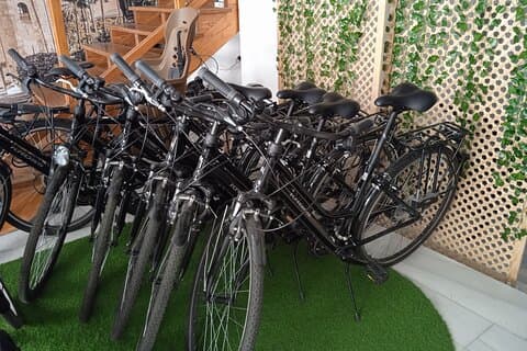 Aluguel de bicicleta de dia inteiro em Sevilha