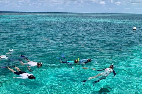 Turtle Garden-snorkeltocht en eilandvakantie