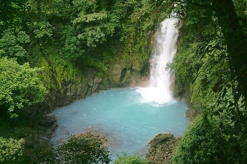 Rio Celeste Waterfall og Sloth Sactuary fulddagstur med frokost