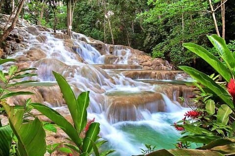 Private Combo Tour From Ocho Rios to Blue Hole and Dunn's River