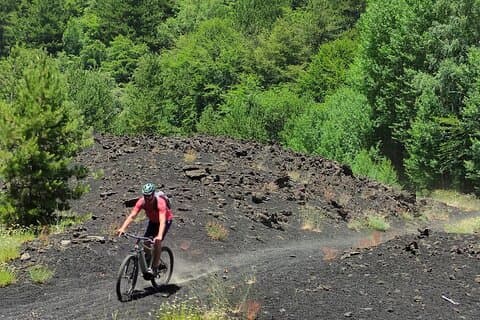 Excursión de medio día al Etna en bicicleta de montaña