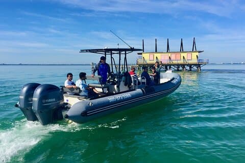 Miami Small Group Boat Tour: Historie, dyreliv og Stiltsville
