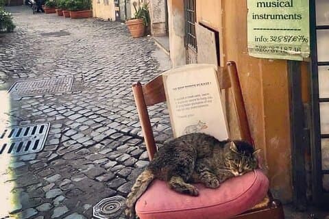 Private Guided Half-Day City Walking Tour in Florence