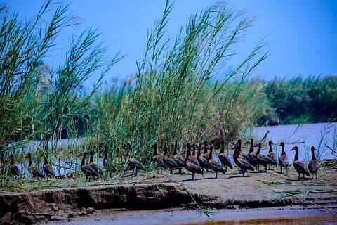 Visite d'une journée à Bujumbura avec le parc Rusizi et le monument Stanley