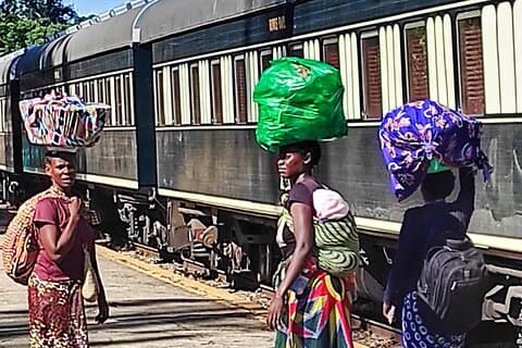 Historic Victoria Falls Town Walk – Immersive Small Group Tour
