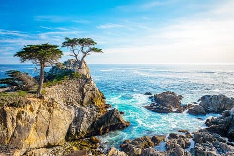 Fra LA: San Francisco, Yosemite & 17 - Mile Drive 3 - Dagstur