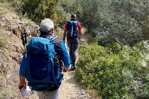 Privéwandeling van 3 uur op de berg Ymittos