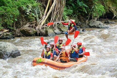 Bali Ayung White Water Rafting Adventure