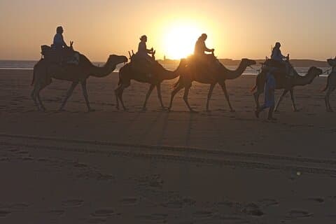 Off-Road Buggy Experience in the Desert