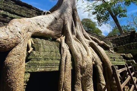 1 dag-privé Angkor dagtours