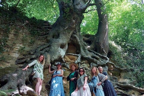 Un recorrido por Glastonbury, guiado por los árboles.
