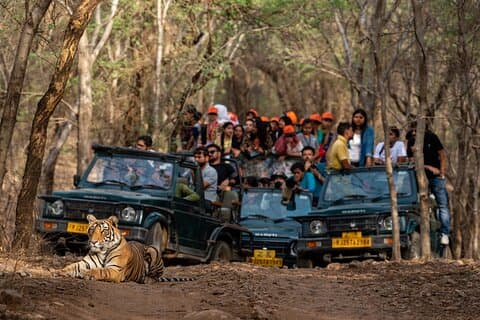 8 - Day Golden Triangle Tour With Ranthambore Tiger Safari From Delhi.