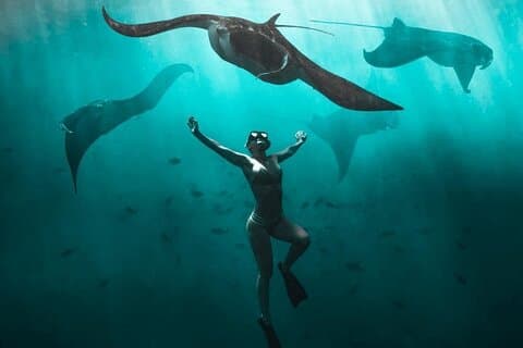 Snorkelen met manta's in Nusa Penida Experience (all-inclusive)