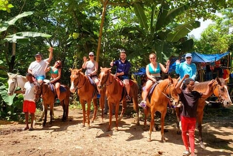 モンテゴ ベイからの乗馬付きブルー ホール滝への 1 日ツアー