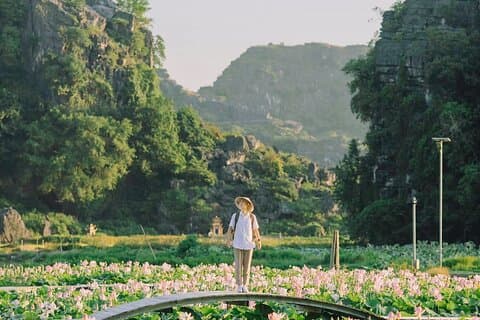 Heldags Ninh Binh Highlights Tour fra Hanoi