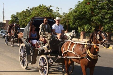 Vistas antiguas de Luxor, recorrido por la ciudad con carruaje de caballos tradicional